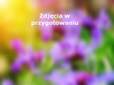 Pokój 5 (1os.dla 2) (Światowid)